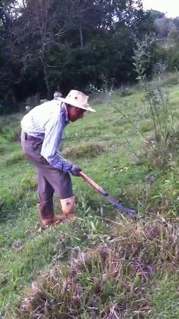 José Nicolau, meu pai, batendo pasto em junho de 2015 José Nicolau, meu pai, batendo pasto em junho de 2015